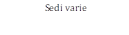  Sedi varie     